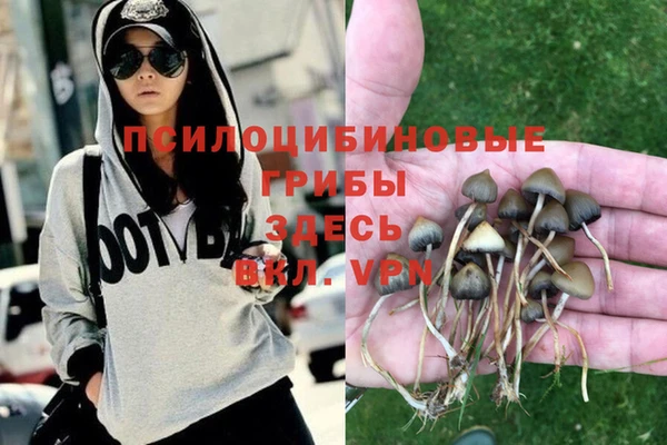 мет Алзамай
