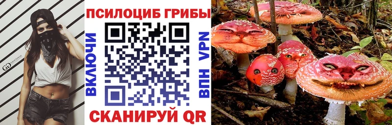 Галлюциногенные грибы мицелий  хочу наркоту  Котлас 